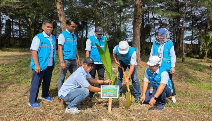 PLN UID Sumbar Serahkan 100 Bibit Pohon pada Kunjungan Kerja Menteri Lingkungan Hidup