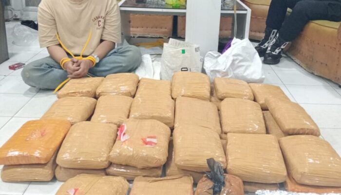 Polresta Bukittinggi Tangkap 2 Pelaku Peredaran Ganja, Puluhan Paket Disita