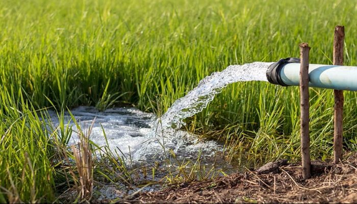 Pemkab Agam Bangun 27 Irigasi Perpipaan, Ribuan Hektare Sawah Terdampak Bencana Mulai Dipulihkan
