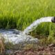 Pemkab Agam Bangun 27 Irigasi Perpipaan, Ribuan Hektare Sawah Terdampak Bencana Mulai Dipulihkan
