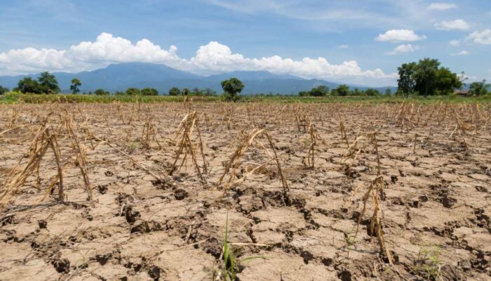 Bappenas Pastikan Anggaran Penanganan El Nino masih Cukup