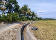Pemko Pariaman Kejar Perbaikan Delapan Irigasi Rusak akibat Bencana