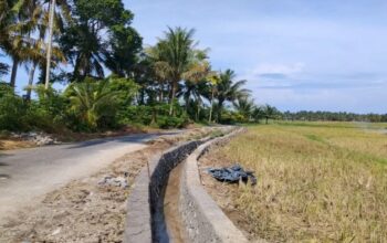Pemko Pariaman Kejar Perbaikan Delapan Irigasi Rusak akibat Bencana