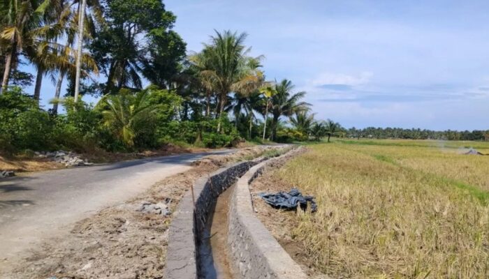 Pemko Pariaman Kejar Perbaikan Delapan Irigasi Rusak akibat Bencana