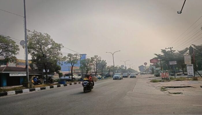 Kabut Asap Selimuti Pekanbaru, Kualitas Udara Capai Level Berbahaya