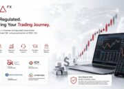 Cara Pandang dalam Membaca Pasar Forex