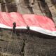 FPTI Sumbar gelar upacara HUT RI ke-81 di tebing Lembah Harau. (dok. istimewa)