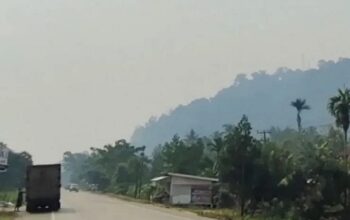 Kualitas Udara Tak Sehat, Pemkab Dharmasraya Bagikan Ribuan Masker