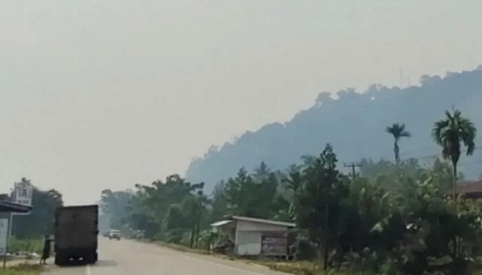 Kualitas Udara masih Tidak Sehat, Pemkab Dharmasraya Perpanjang Belajar Jarak Jauh hingga 15 September