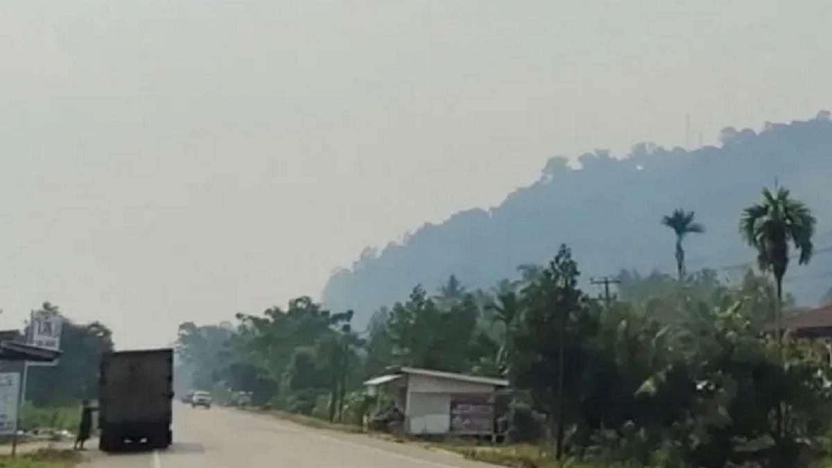 Kondisi langit di Dharmasraya yang tertutup kabut asap. (dok. istimewa)