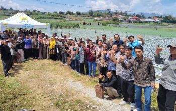 Dari Listrik untuk Kehidupan, PLN Dukung Petani Bawang Alahan Panjang Makin Produktif