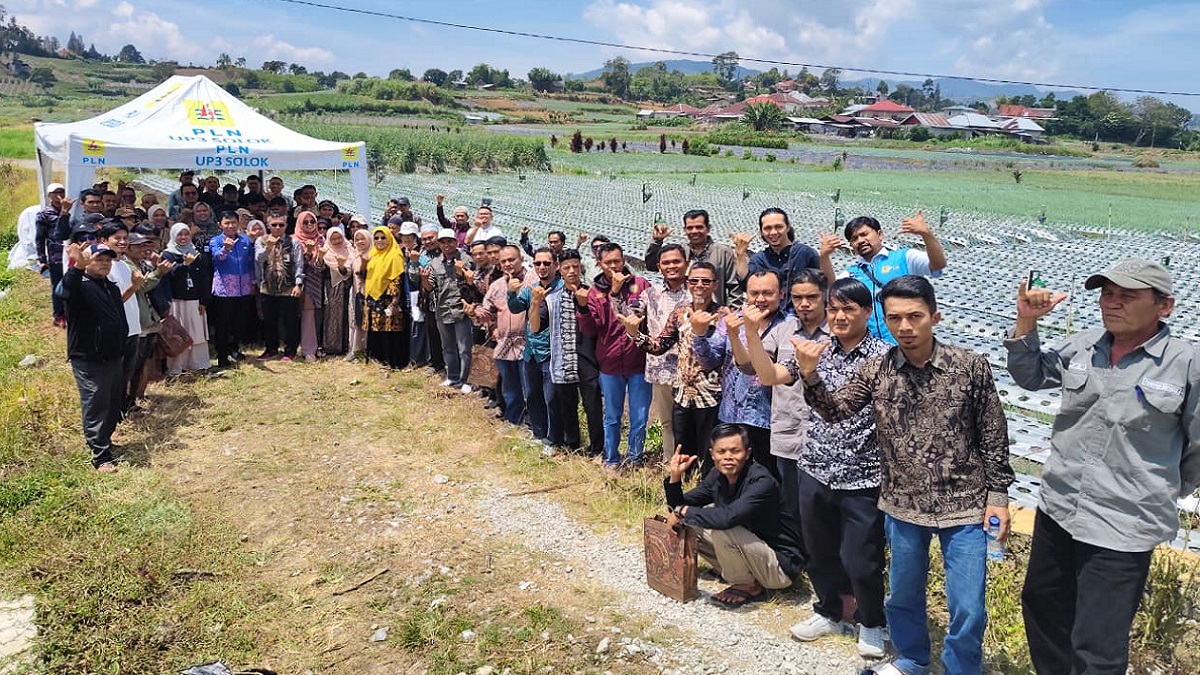 PLN Solok dukung petani bawang Alahan Panjang. (dok. istimewa)