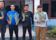 Tingkatkan Pendapatan Warga, PTPN IV Regional IV Salurkan 1.500 Bibit Nanas untuk Dua Desa di Tanjab Timur