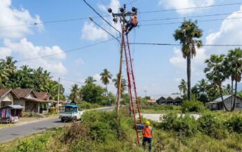 Petugas PLN tengah melakukan pemulihan sistem kelistrikan di salah satu lokasi terdampak bencana gempa bumi Flores, Nusa Tenggara Timur. (dok. PLN)