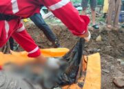 Warga Agam Temukan Tengkorak dan Tulang Manusia di Sawah, Diduga Korban Bencana