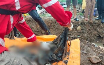 Warga Agam Temukan Tengkorak dan Tulang Manusia di Sawah, Diduga Korban Bencana