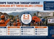 BNPB Targetkan Tanggap Darurat Bencana NTT Tuntas dalam Tiga Pekan
