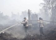 30 Perusahaan Diproses terkait Karhutla, Potensi Kerugian Capai Rp15 Triliun