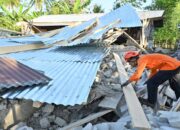 BNPB Siapkan Bantuan Rp15 Juta-Rp30 Juta untuk Rumah Rusak akibat Gempa Flores