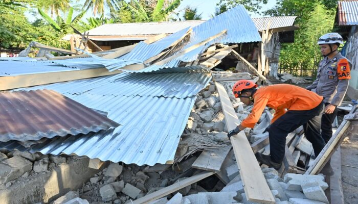 BRIN Ungkap Perubahan Ekologi Pascabencana Tingkatkan Risiko Penyakit