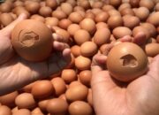 Telur Cangkang Retak, Masih Aman Dikonsumsi? Ini Penjelasan Pakar
