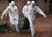 Korban Tewas Capai 2.325, Wabah Ebola RD Kongo Terparah dalam Sejarah