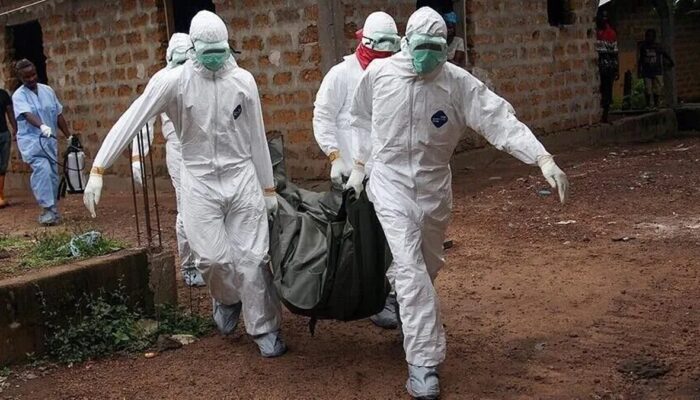 WHO Minta Pendanaan Lebih Besar untuk Tangani Ebola di RD Kongo