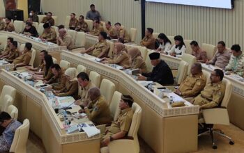 Gubernur Mahyeldi raker dengan Komisi II DPR RI. (dok. istimewa)