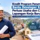 Kredit Program Perumahan dari pemerintah. (dok. istimewa)