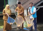 Resmikan Program TJSL di Agam, PLN UID Sumbar Perkuat Usaha Budidaya Ikan Masyarakat