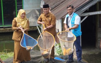 Staf Ahli Bidang SDM Kabupaten Agam Taslim, Senior Manager Keuangan, Komunikasi dan Umum PLN UID Sumatera Barat Bambang Santoso, serta Kepala Dinas Ketahanan Pangan dan Perikanan Kabupaten Agam Rosva Deswita saat resmikan program TJSL budidaya ikan, (dok. Humas PLN)