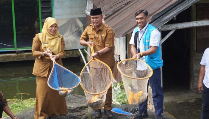 Resmikan Program TJSL di Agam, PLN UID Sumbar Perkuat Usaha Budidaya Ikan Masyarakat