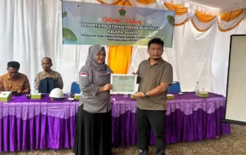 Pelatihan Teknis Budi Daya Kelapa Sawit PTPN IV