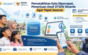 Pemutakhiran data Desil DTSEN. (dok. istimewa)