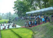Puluhan Tahun Menanti, Pompanisasi Tenaga Surya Kini Alirkan Air ke 400 Hektare Sawah Tanjung Barulak