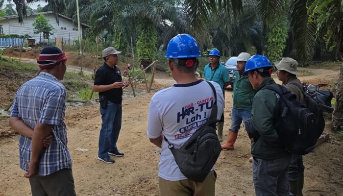 Produksi Kebun Bukit Kausar Tumbuh Positif, Perbaikan Operasional dan SDM jadi Kunci