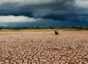 Pemerintah Siap Siaga Pantau Dampak El Nino bagi Kesehatan