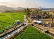 Pemerintah Perkuat Penanganan Kekeringan, 141.440 Hektare Sawah Diselamatkan