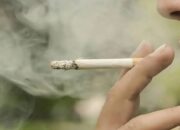 Asap Rokok Berisiko Picu Pneumonia, Perokok Pasif juga Terancam