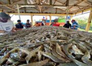 Bappenas Dorong Peningkatan Produktivitas Tambak Udang Tradisional