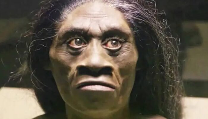 Peneliti Temukan Jejak Arecoline pada Gigi Manusia Purba Sulawesi